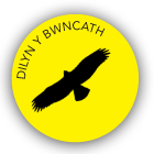 Follow the Buzzard